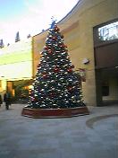 76b0169b.jpg