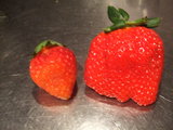 イチゴ