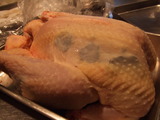 b751a531.jpg