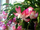 615b8026.jpg