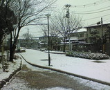 雪