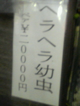 4b5a59d0.jpg
