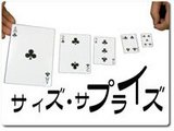 �����������ץ饤��