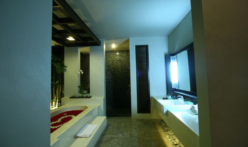BATHROOM AND WASH BASIN.