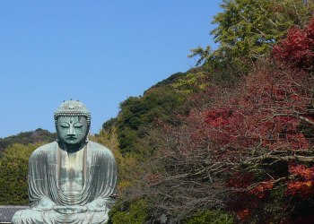 日本も紅葉の季節