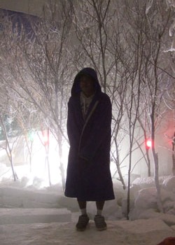 雪を眺めるロコのデワ君