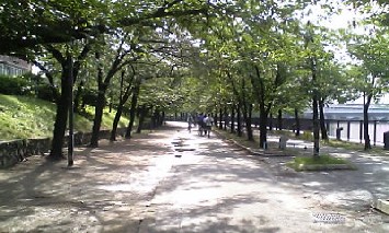 asanosanpo