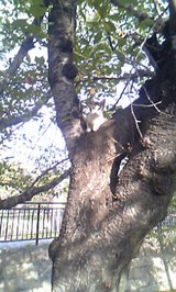 1b411696.jpg