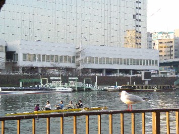 朝の散歩