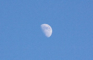 tuki