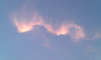 kumo