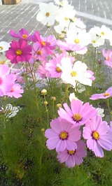 6fb76149.jpg