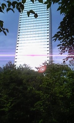 hikari