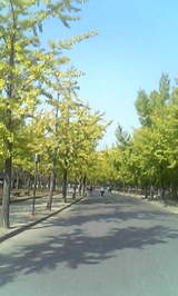 7a48301e.jpg