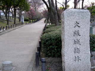 ume
