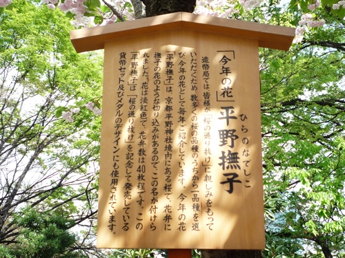 P1010539