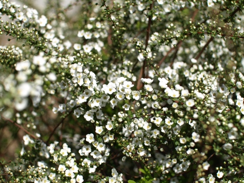 P3150209
