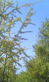 b3eec568.jpg