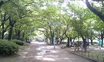 ameagari