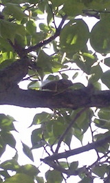 beff04aa.jpg