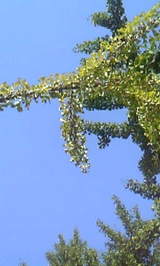 c4733635.jpg