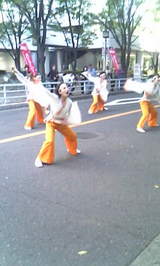 c915424d.jpg