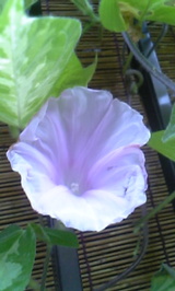 d121a9b9.jpg