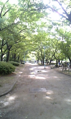asanosannpo