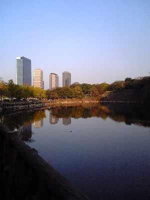 ohoritoOBP