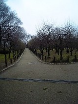 ���Ӥ��餬��