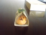 ぽち1