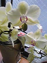 065f6e03.jpg
