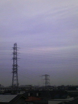 113f1d5a.jpg