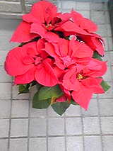 3739a30b.jpg