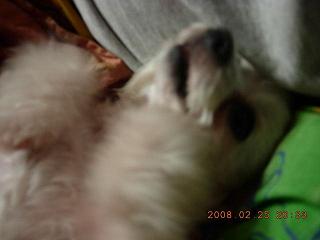 ����1