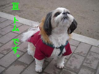 �ȥ෯1