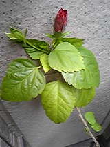 74f11145.jpg