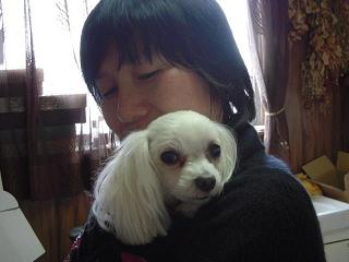 更紗