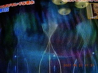 ベラージオ8