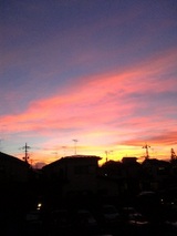 9ef59f54.JPG