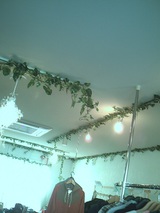 PICT0010
