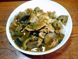 ゴーヤカレー