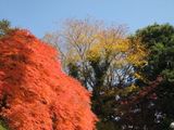 IMG_8302