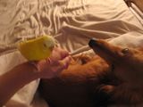 IMG_8371