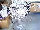 P1000074.jpg