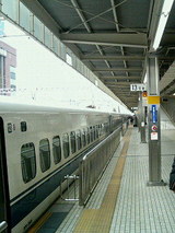 6390201a.jpg