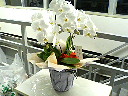 P1000053.jpg