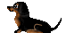 image1785