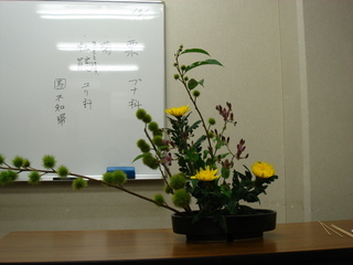 DSC04637