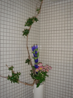 DSC04612